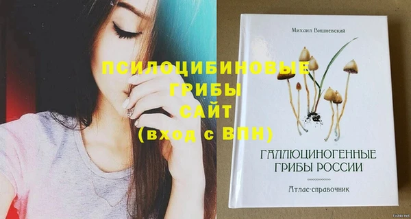 кокаин Ладушкин