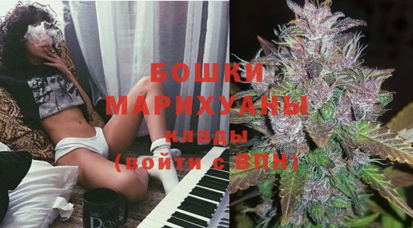 дмт Лабытнанги
