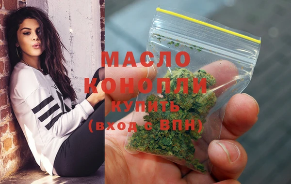 дмт Лабытнанги