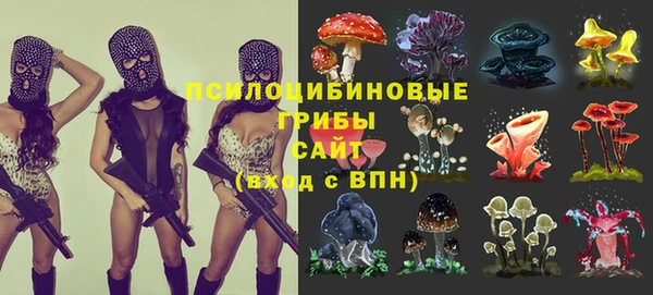 кокаин Ладушкин