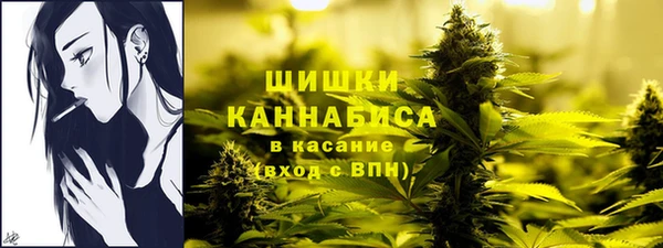 дмт Лабытнанги