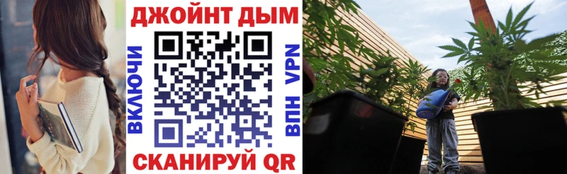 Бошки марихуана гибрид  Пересвет 